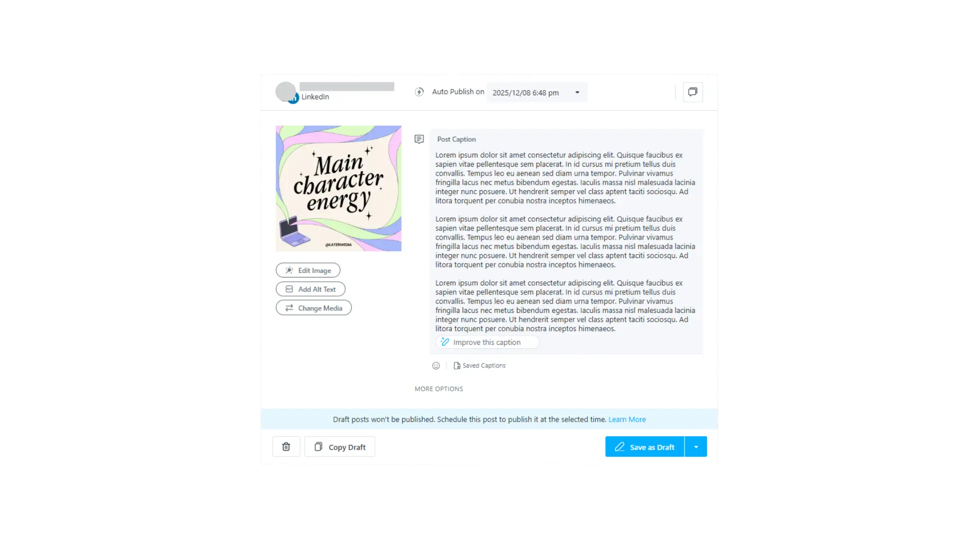 Later Post Editor showing basic text input without LinkedIn preview